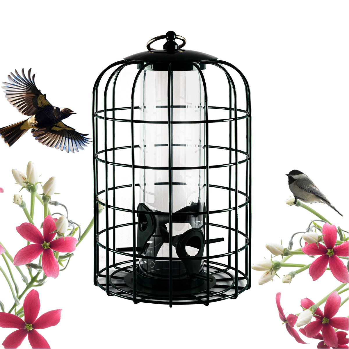 Nature's Rhythm outdoor hanging bird feeder cage; durable steel for year-round backyard use.