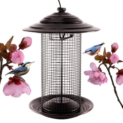 Nature's Rhythm bird feeder with dome lid attracts cardinals and titmice while protecting seed from rain