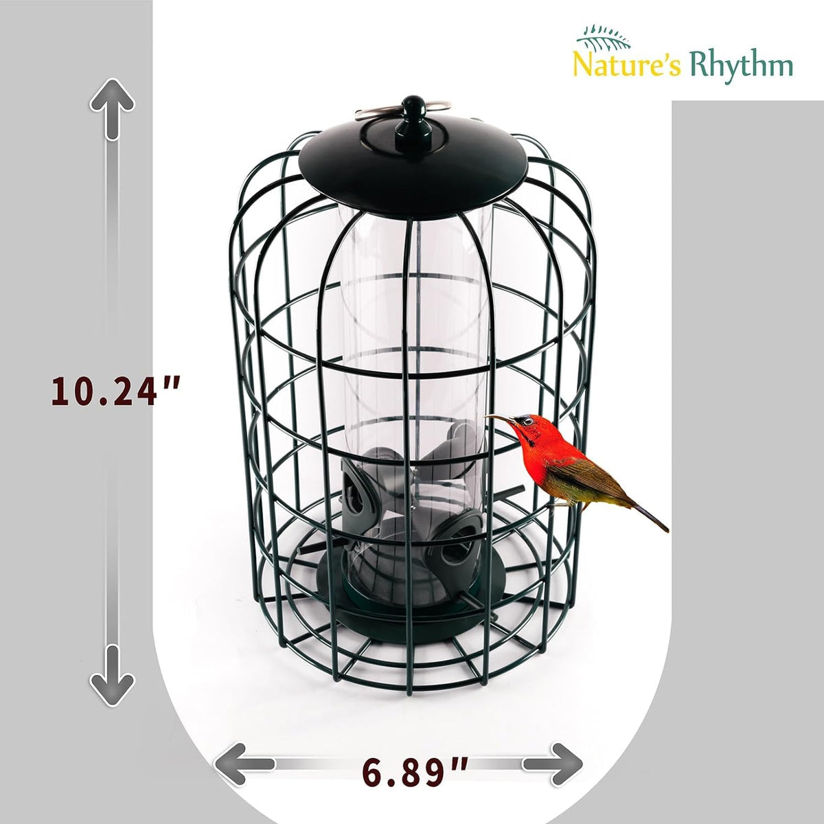 Nature's Rhythm seed guard deterrent—squirrels stay out, seeds stay fresh.