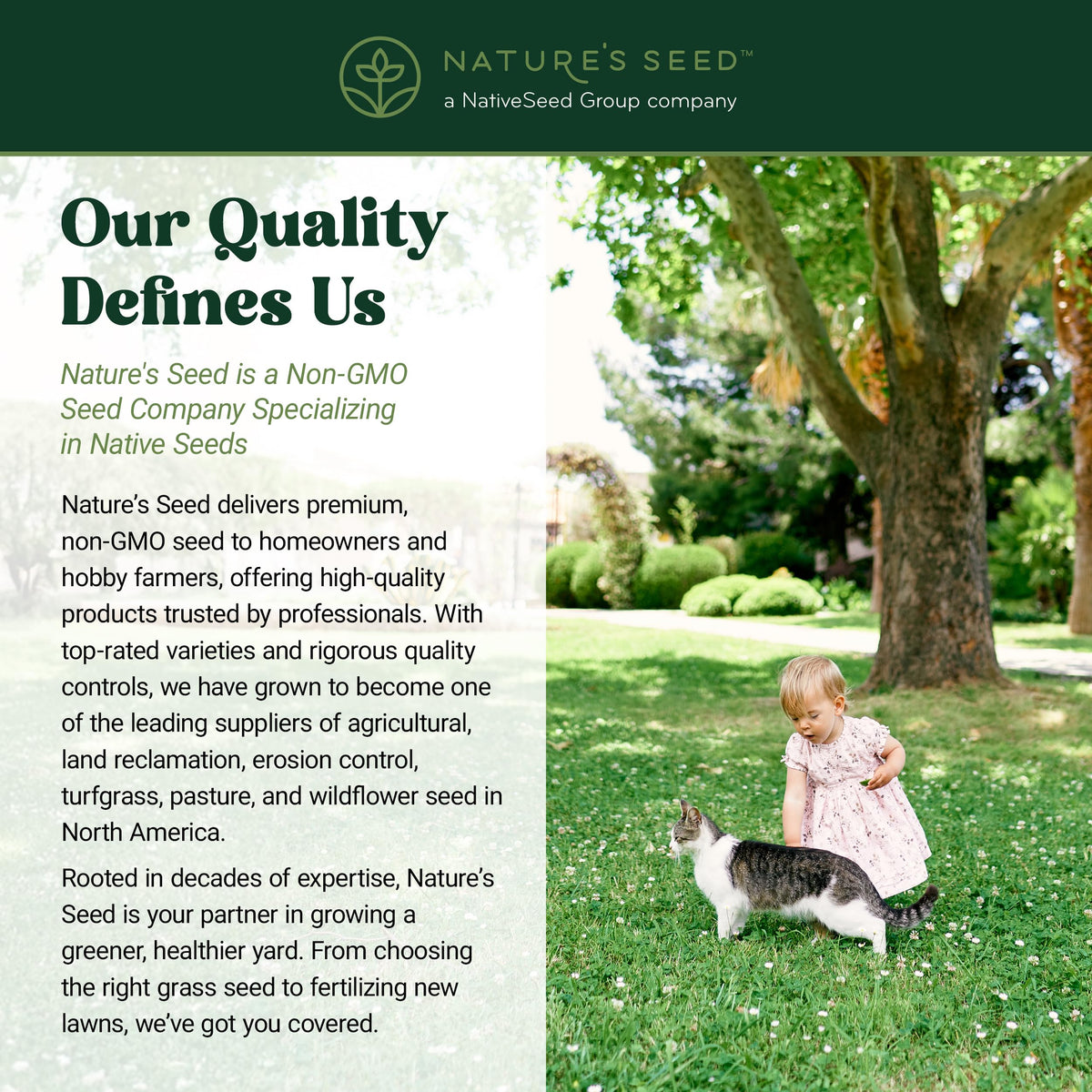 Nature’s Seed family-friendly yard is soft for barefoot outdoor fun.
