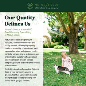 Nature’s Seed family-friendly yard is soft for barefoot outdoor fun.
