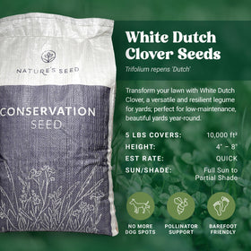 Nature’s Seed White Dutch Clover lawn patch showing year-round color and soft texture.