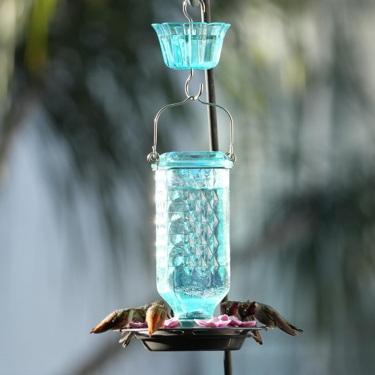Nature’s Way Dewdrop Column dish-style base with ports resists bees for calmer viewing.