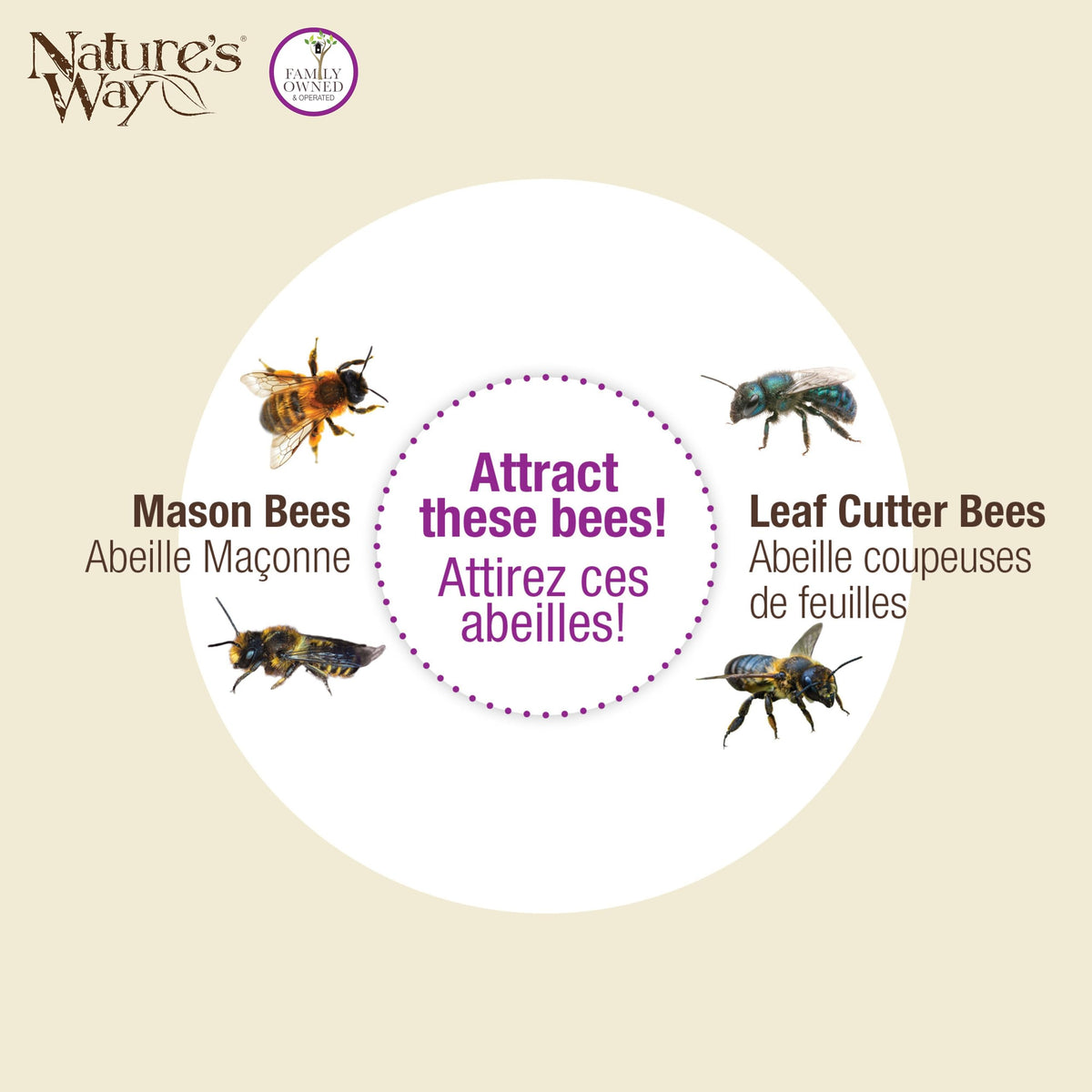 Nature's Way farmhouse bee barn decor enhances outdoor space