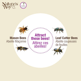 Nature's Way farmhouse bee barn decor enhances outdoor space