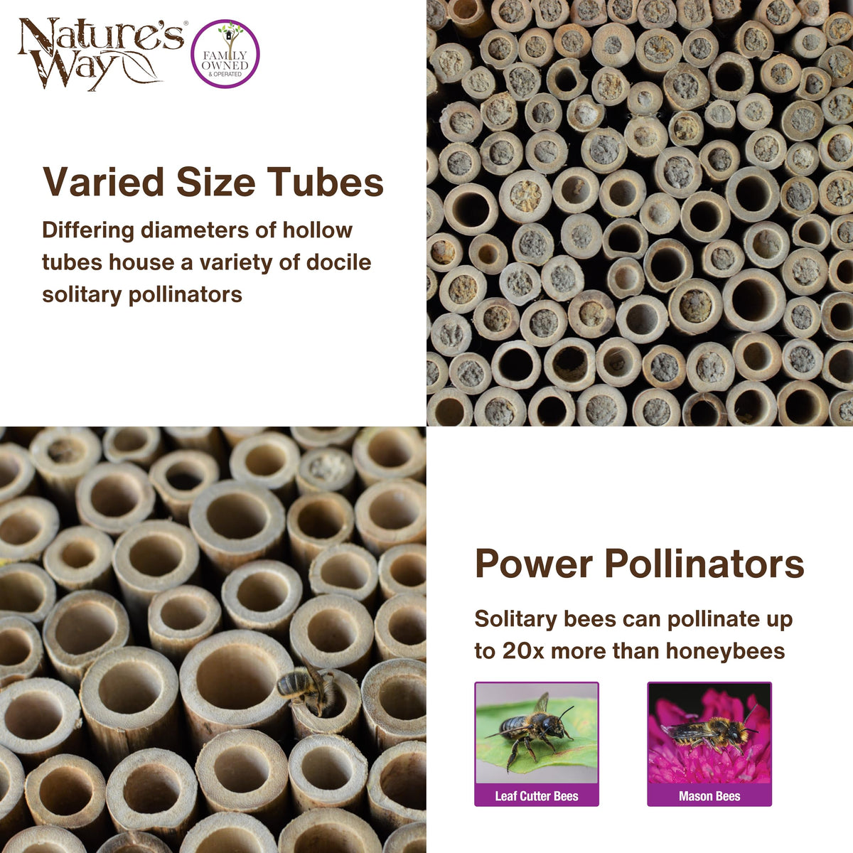 Nature's Way leafcutter bee housing promotes garden blooms