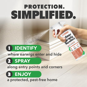 NatureStop earwig deterrent spray made in USA for home use