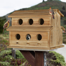 NATUREYLWL 6-hole bird house designed for cardinals, offering roomy nesting spaces.