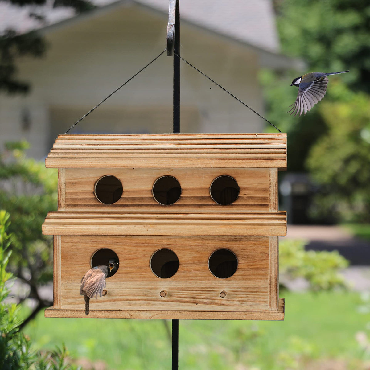NATUREYLWL bird house design for finches; supports diverse yard visitors.