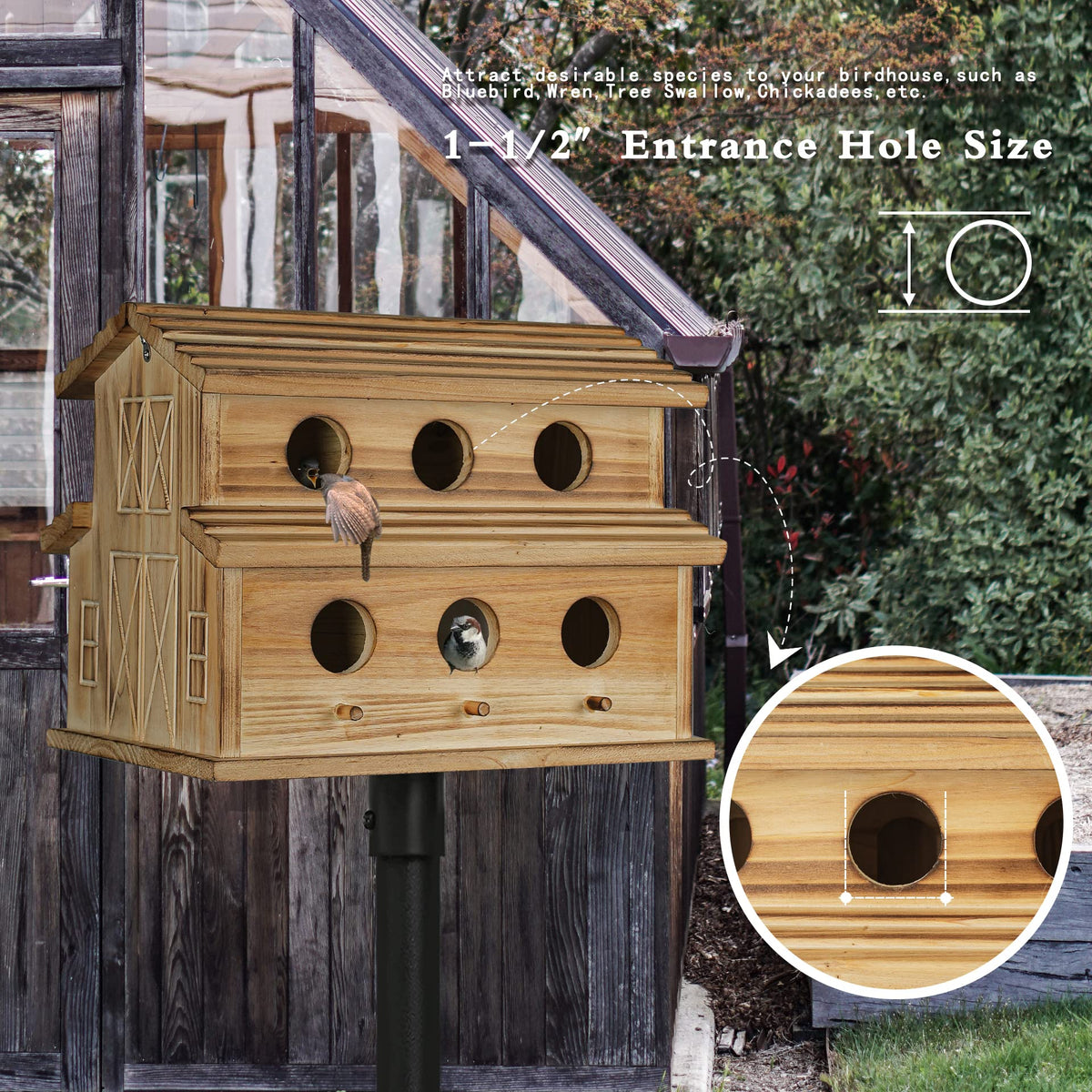 NATUREYLWL decorative bird house adds charm to any yard while welcoming visitors.