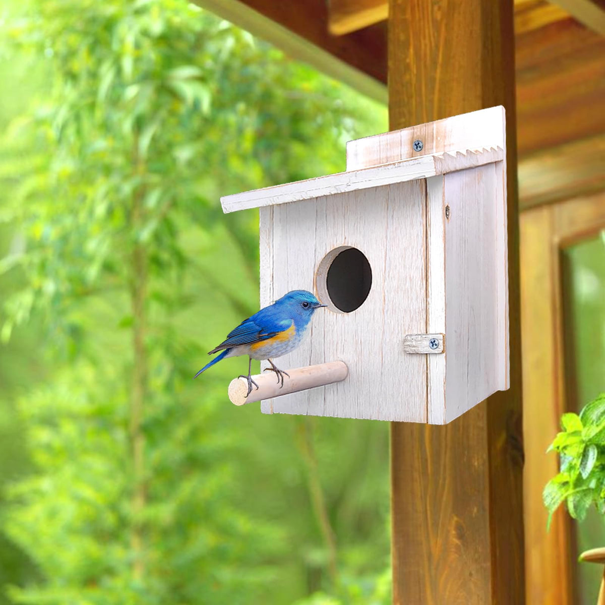 Natureylwl bird house entrance hole 1.57 inches attracts small songbirds.