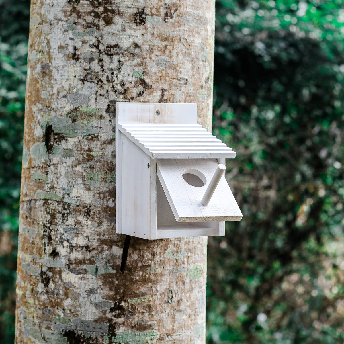 Natureylwl hanging bird house suited for trees, patios, or decks.