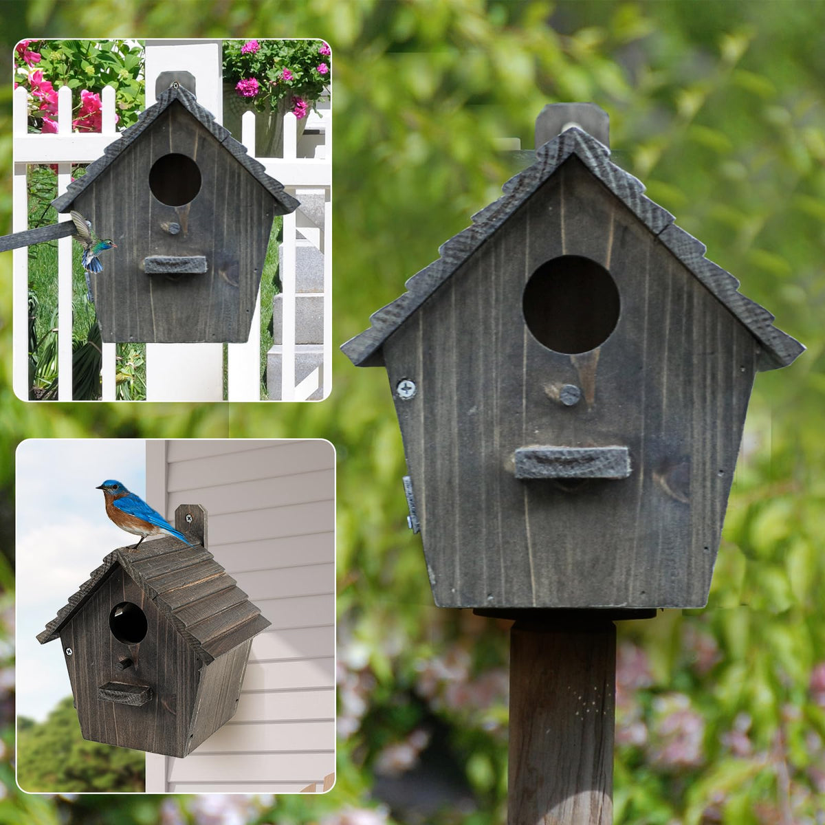 NATUREYLWL hanging bird house with pole mounting for versatile outdoor display