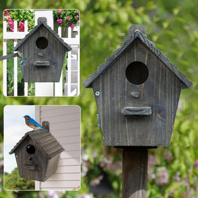 NATUREYLWL hanging bird house with pole mounting for versatile outdoor display