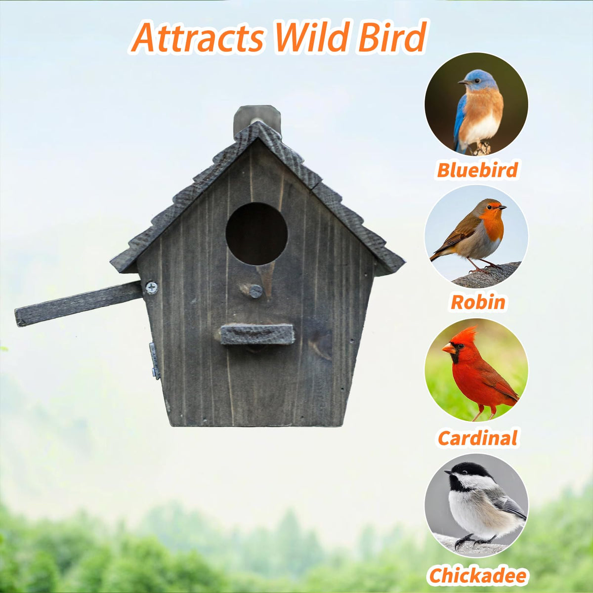 NATUREYLWL bluebird nest box with correctly sized entrance to attract bluebirds