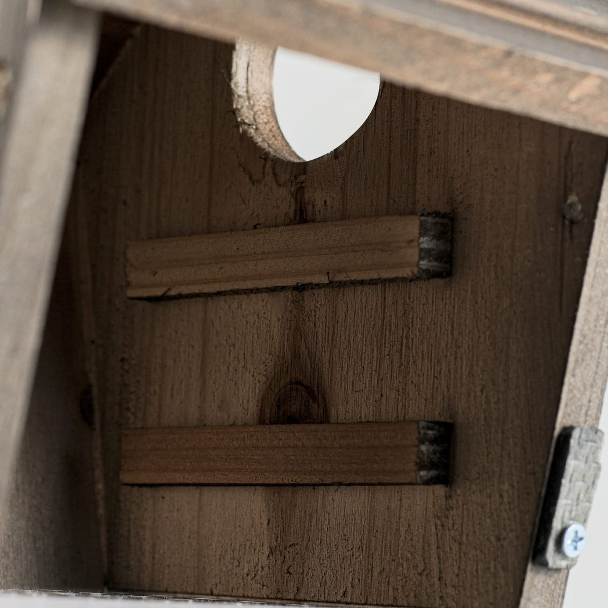 NATUREYLWL compact wooden bird house fits small yards