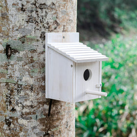 Natureylwl ideal gift for nature lovers and gardeners.