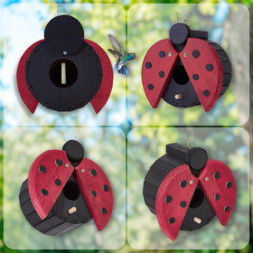 NATUREYLWL ladybug-pattern birdhouse with bright colors attracts birds to your garden.