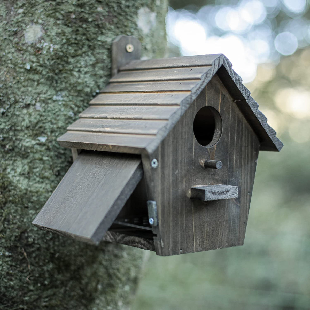 NATUREYLWL rustic wooden bird house on a pole for year-round yard use