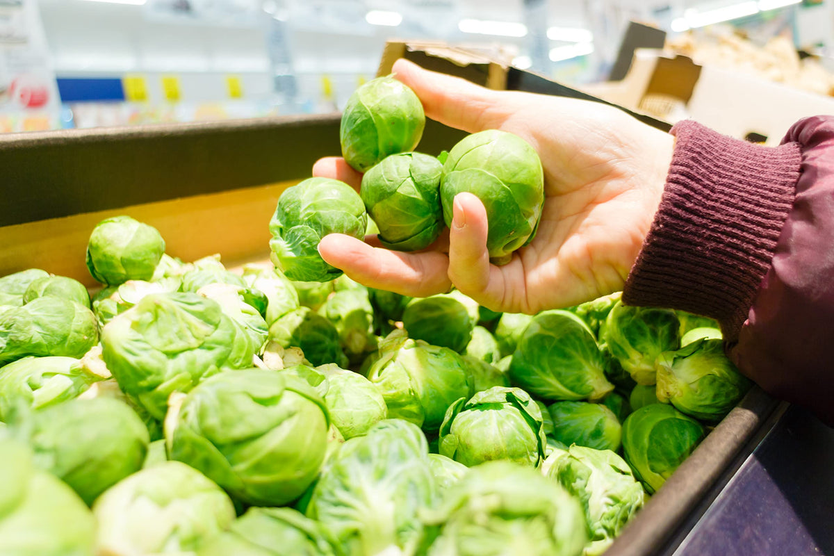 NatureZ Edge Brussel Sprouts Seeds Catskill garden rows in full sun for healthy growth.