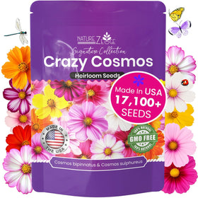 NatureZ Edge Crazy Cosmos seeds pack for vibrant border color