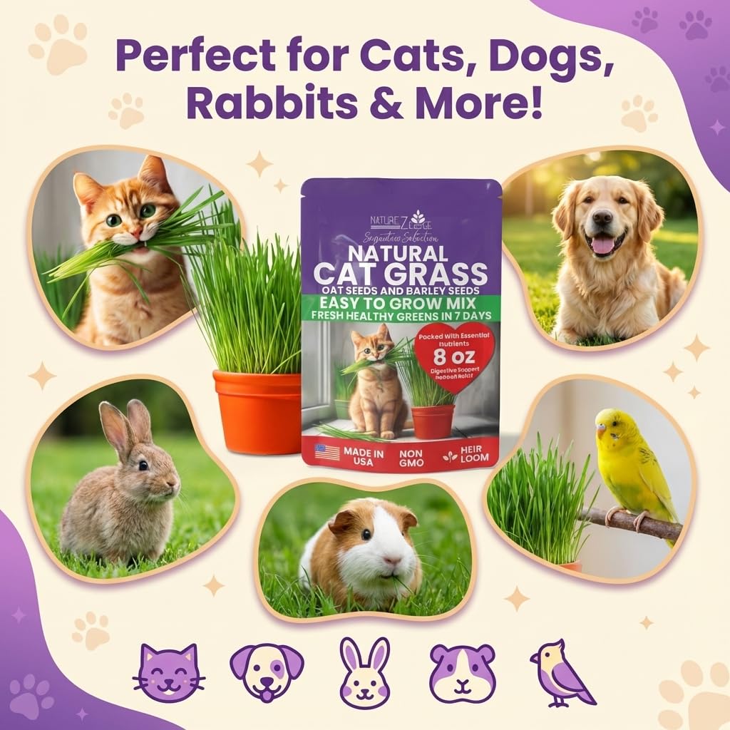 NatureZ Edge indoors cat grass grow kit helps quick greens for curious cats.