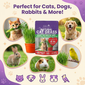 NatureZ Edge indoors cat grass grow kit helps quick greens for curious cats.