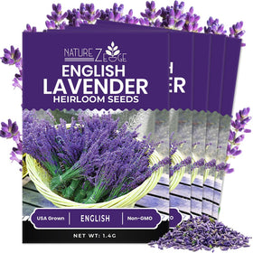 NatureZ Edge lavender seeds pack showing high germination potential for thriving plants