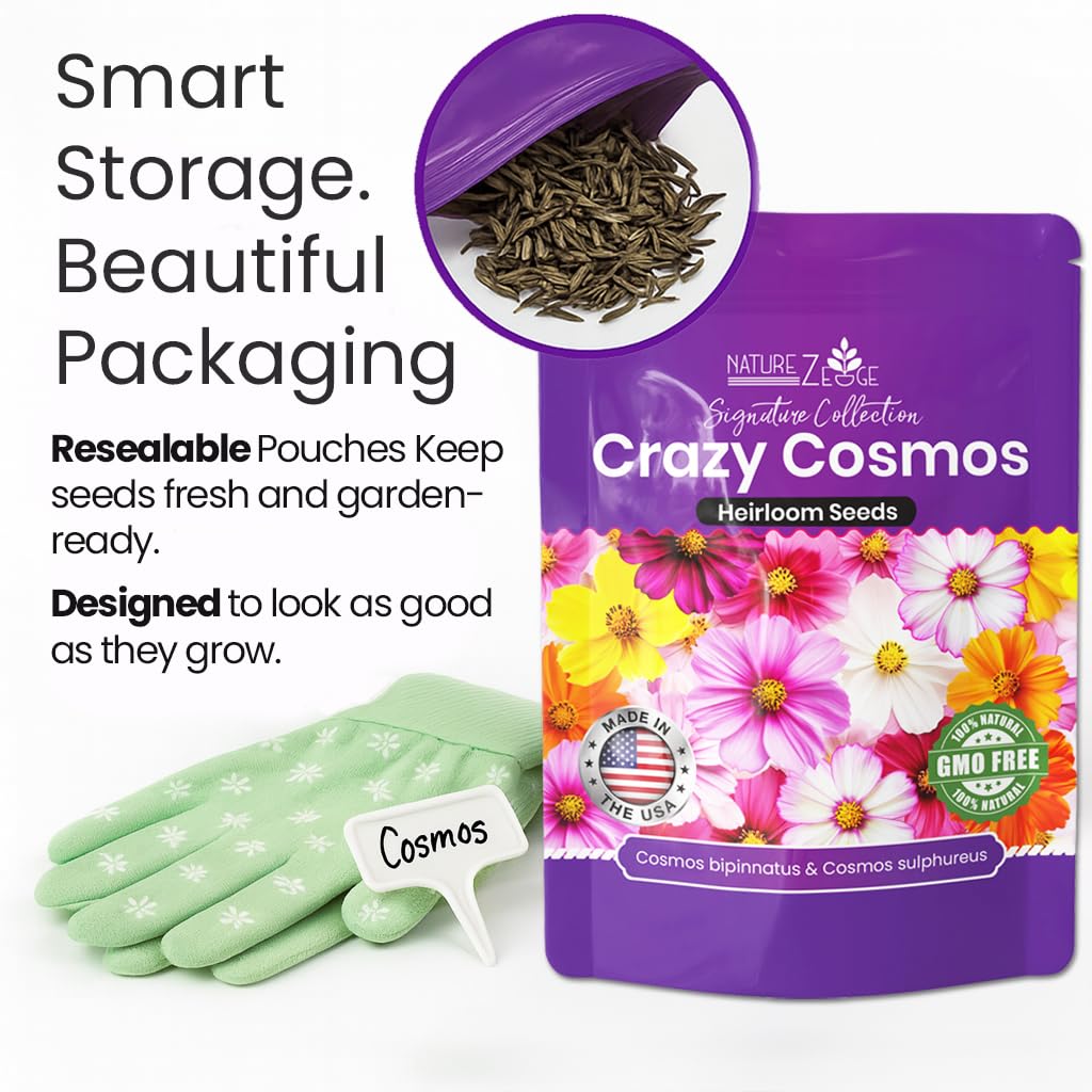 NatureZ Edge pink cosmos seeds ideal for cut flowers and arrangements