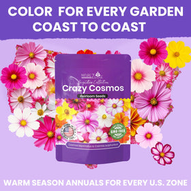 NatureZ Edge pollinator wildflower meadow seeds for bees and butterflies