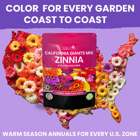 NatureZ Edge state-fair-zinnia-seed vibrant multi-hued petals for cheerful summer displays.