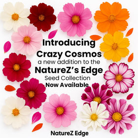 NatureZ Edge wildflower seed mix designed for wide coverage and pollinators