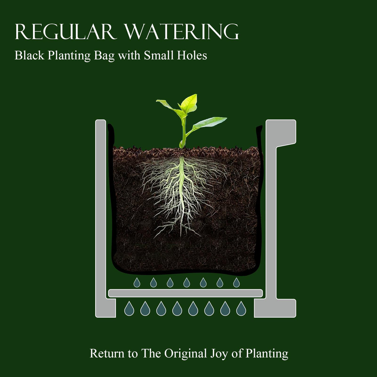 NAVREX window box planter showing drainage holes for healthy roots