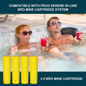 Nayoku bromine cartridge lasts 2-4 weeks per use.