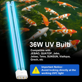 Nbbiww packaging includes spare bulbs for timely replacements