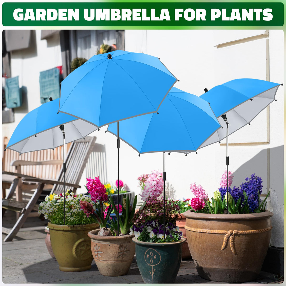 NBtoUS four pack shields multiple pots, ideal for balcony or patio.