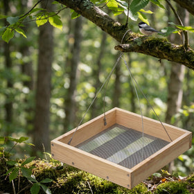 nclongshengsheng easy-fill-clean design simplifies yard upkeep for bird lovers