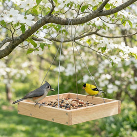 nclongshengsheng weather-resistant pine feeder withstands sun and rain for year-round use