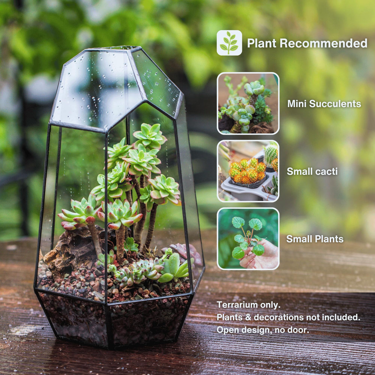 NCYP black irregular glass terrarium no door, ideal for mini succulents on a desk.