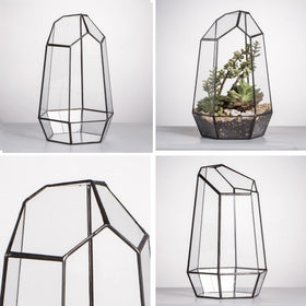 NCYP candle-friendly terrarium display option for ambient lighting.