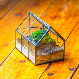 NCYP tin-and-glass terrarium ready for small air plants.