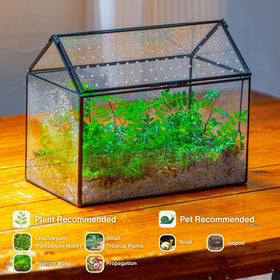 NCYP acrylic lid swing showing airflow access