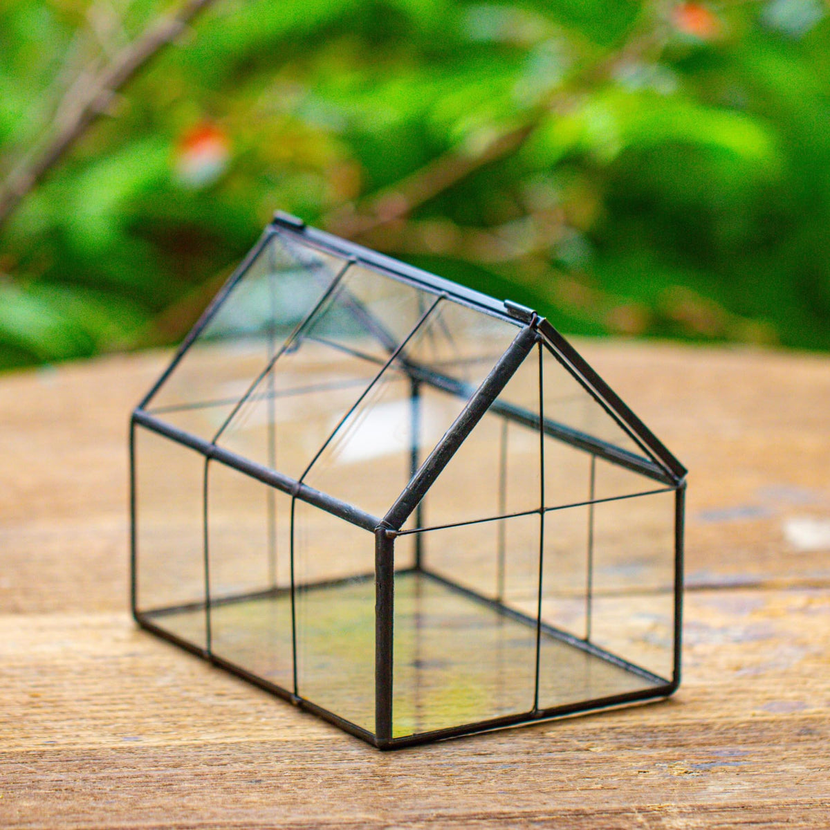 NCYP glass terrarium for windowsill shows cacti with elegance.