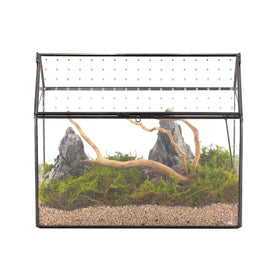 NCYP glass terrarium front view for snails and tiny creatures