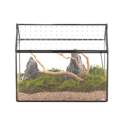NCYP glass terrarium front view for snails and tiny creatures