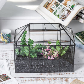 NCYP black grid frame enhances modern home decor with greenery.