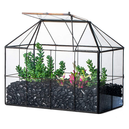 NCYP glass terrarium lid front view, ideal for small succulents and moss.