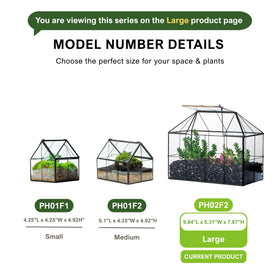 NCYP terrarium not designed for standing water; use light mist.