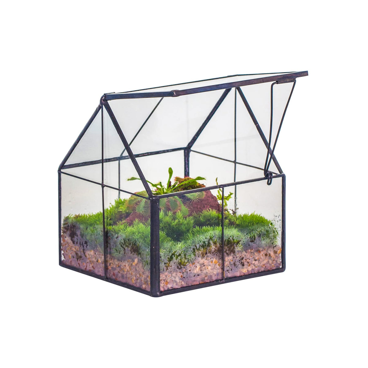 NCYP mini glass terrarium with lid shows a tidy, chic house-shaped display for mini plants.