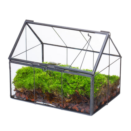 NCYP mini glass terrarium with lid, house shape, perfect for tiny succulents.